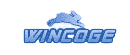 WinCoge gestionale contabilita fatture