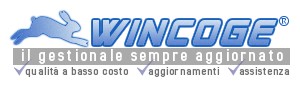 WinCoge gestione aziendale