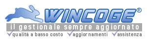 WinCoge gestionale magazzino