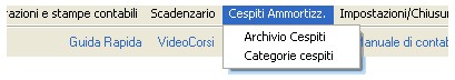 m_cespiti